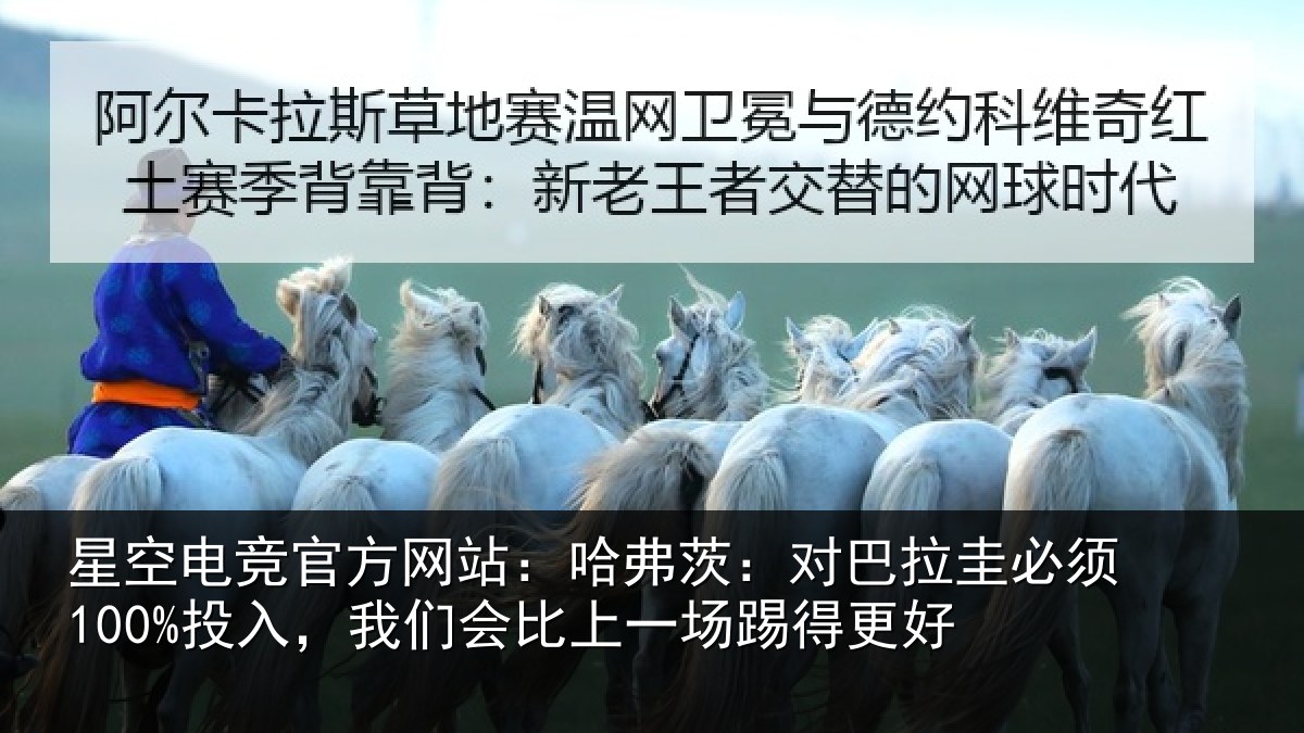 星空电竞官方网站:哈弗相关情况入我相关情况更好