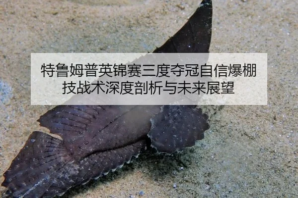 te-lu-mu-pu-ying-jin-sai-san-du-duo-guan-zi-xin-bao-peng-ji-zhan-shu-shen-du-pou-xi-yu-wei-lai-zhan-wang-1-245.jpg